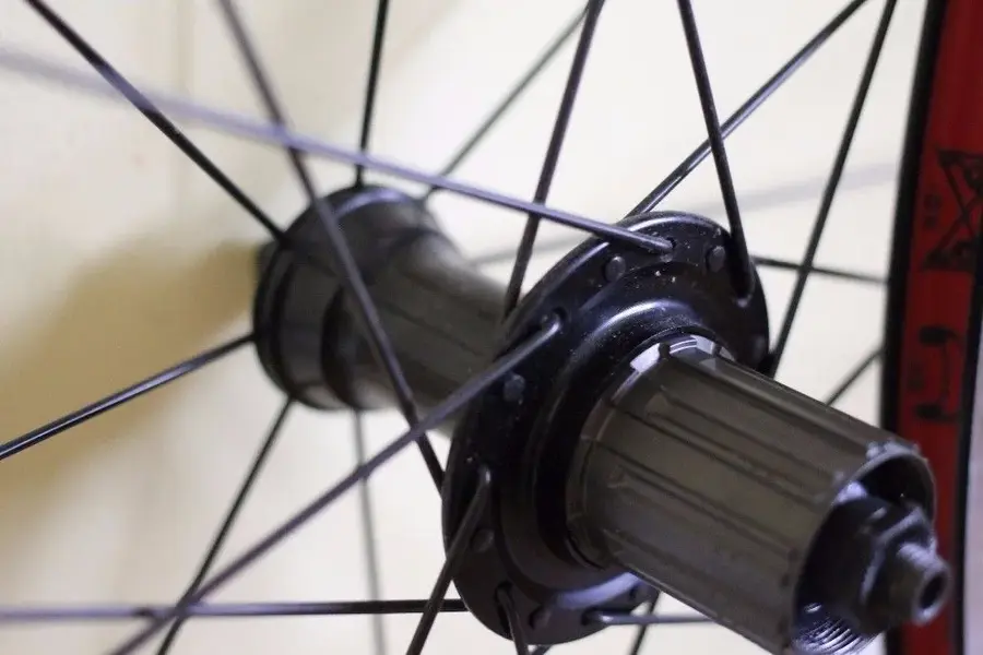 wheels3.webp