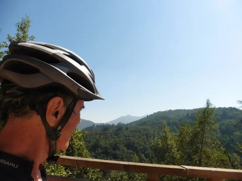 Checking out the view.webp