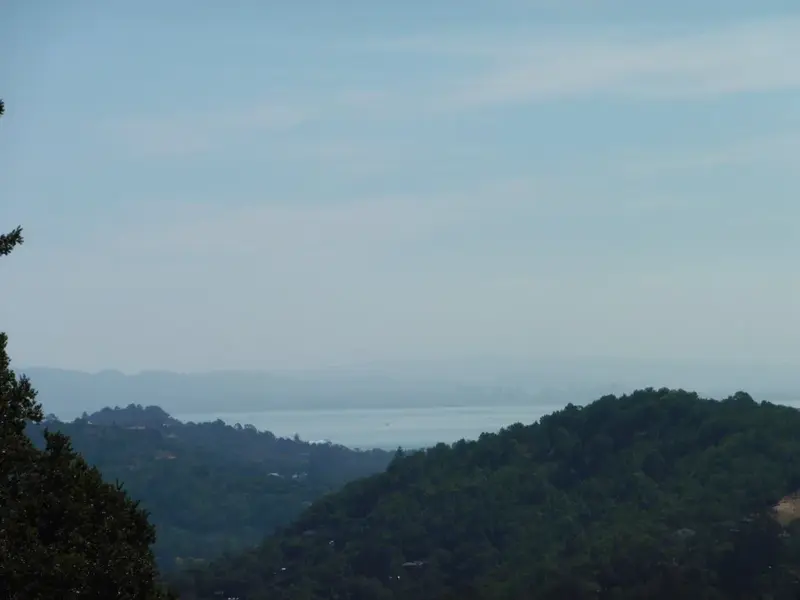 SF Bay.webp