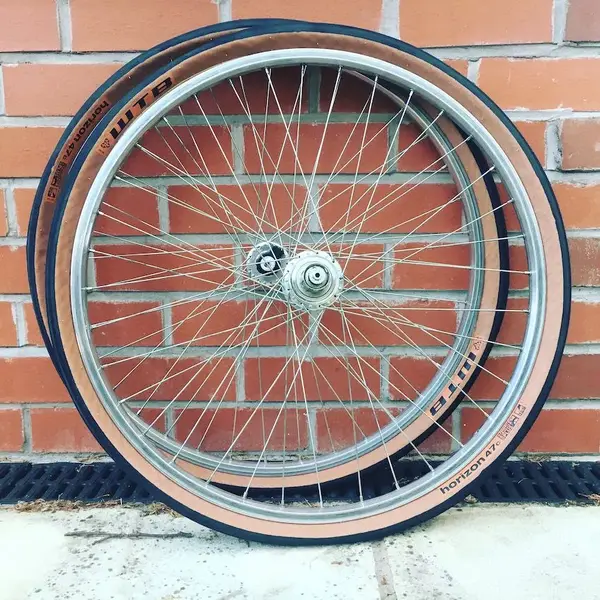 WTB Horizon 650b.webp
