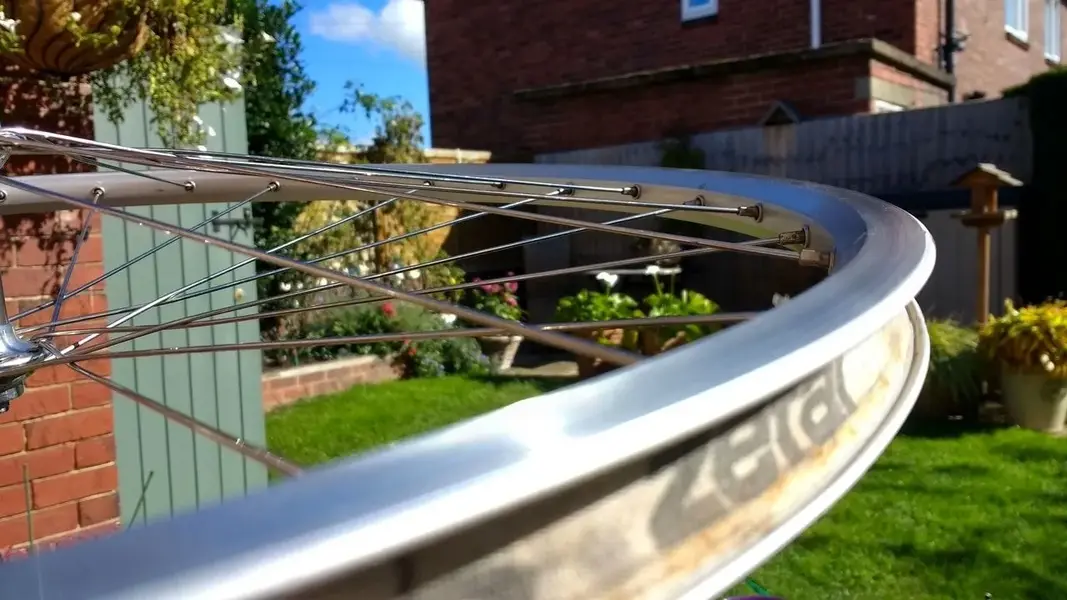 Webp.net-resizeimage (1).webp