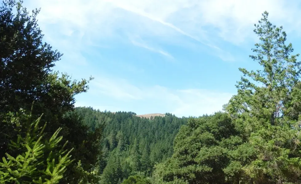 Along the way.webp