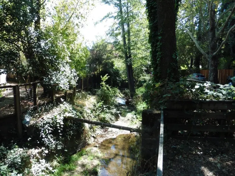 Fairfax Creek.webp