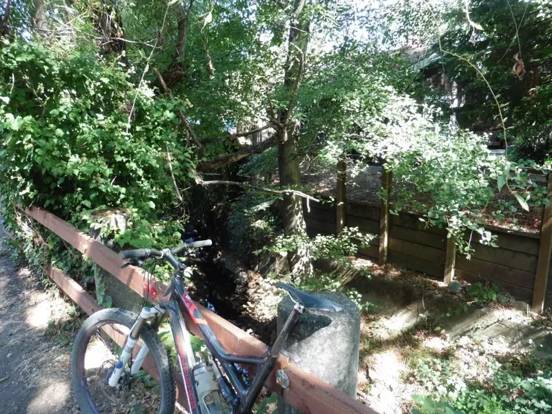 Cool by the creek.webp
