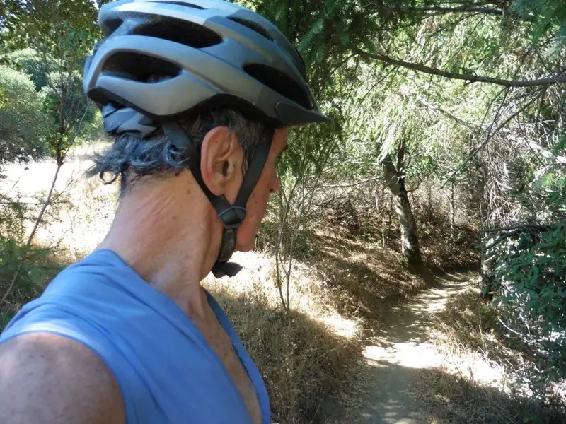 Today's trail.webp