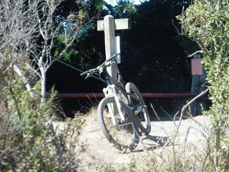 Bike Stand.webp