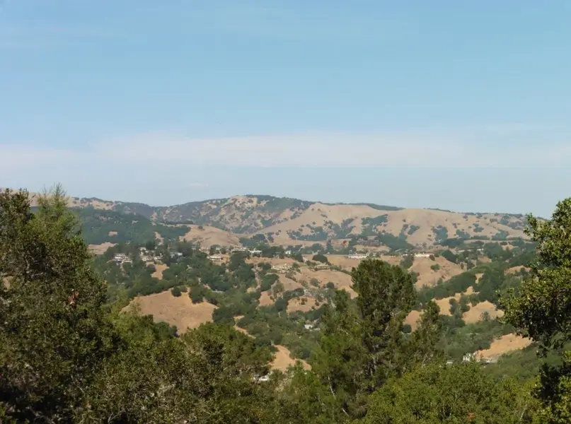 Looking North.webp