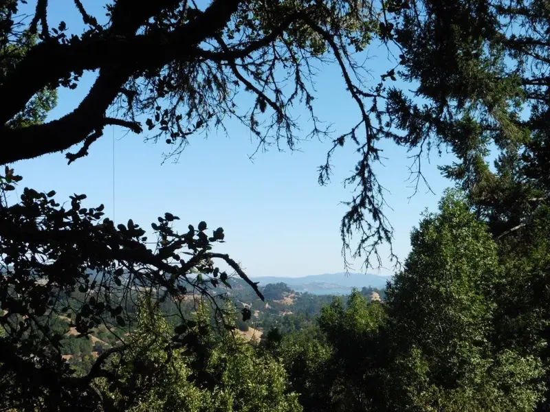Mt. Diablo in the East Bay.webp