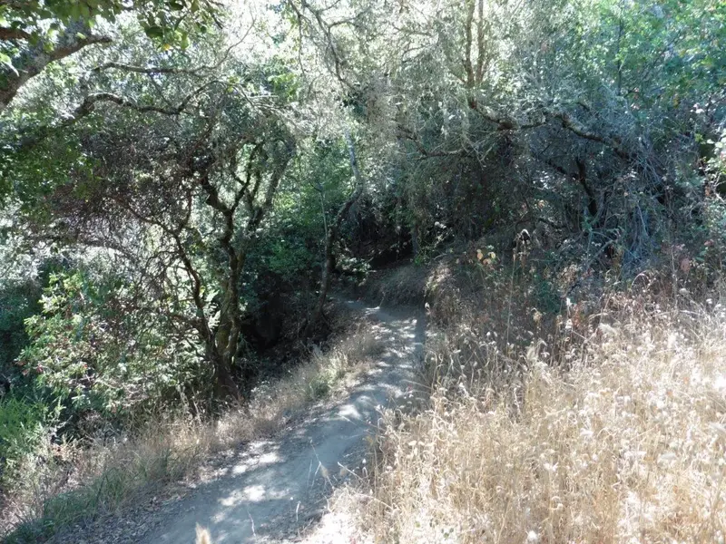 Alchemist Trail.webp