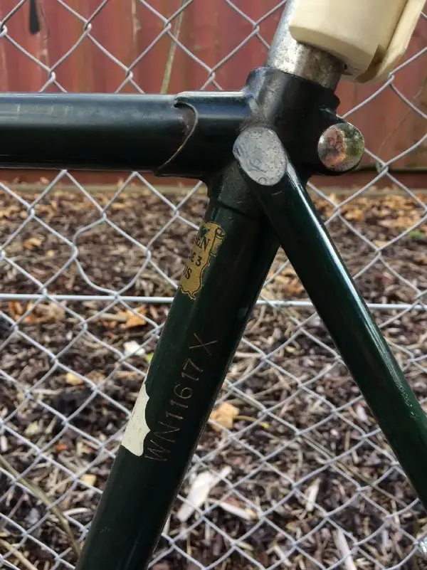 raleigh.webp