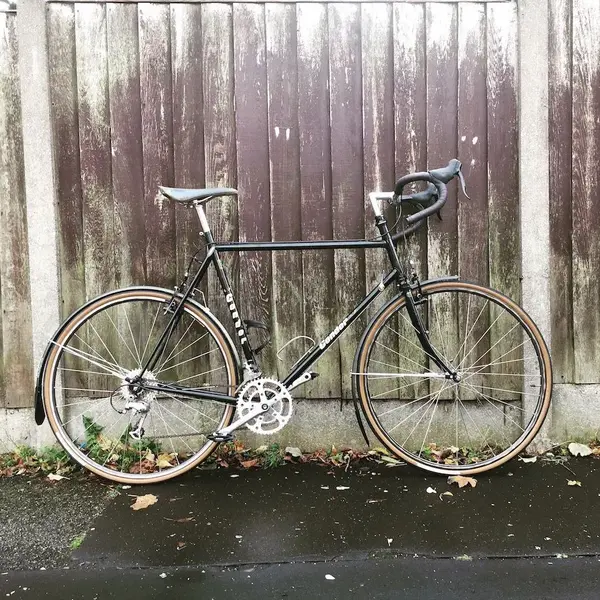 Yates Condor Audax.webp