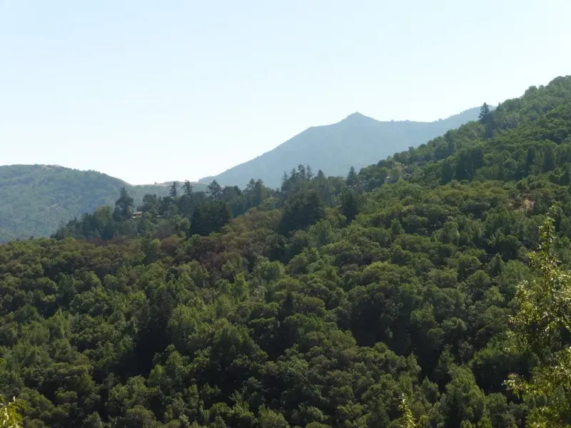 Mt. Tam today.webp