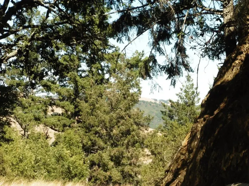 Looking across the valley.webp