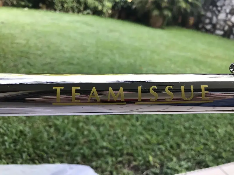 team issue.webp