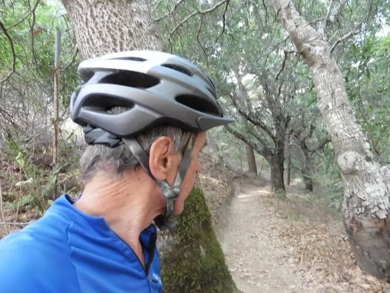 Checking out the trail.webp