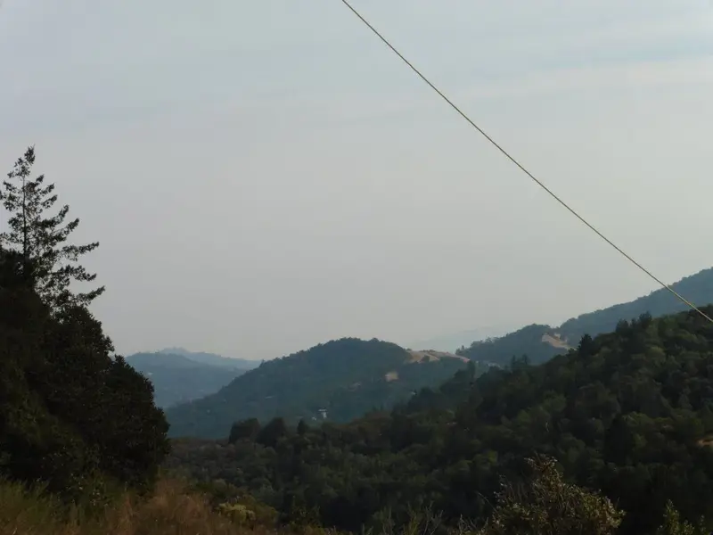Smoky sky.webp