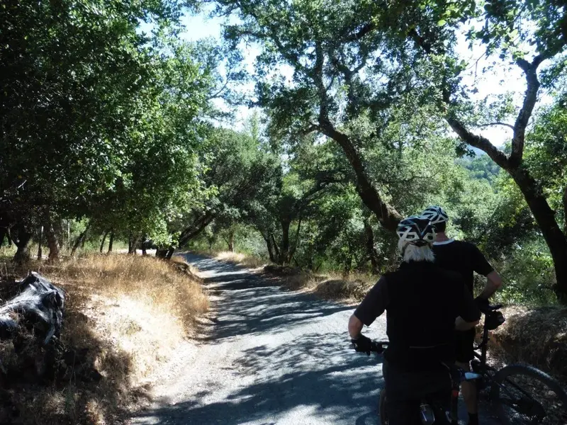 Contemplating the steepness.webp