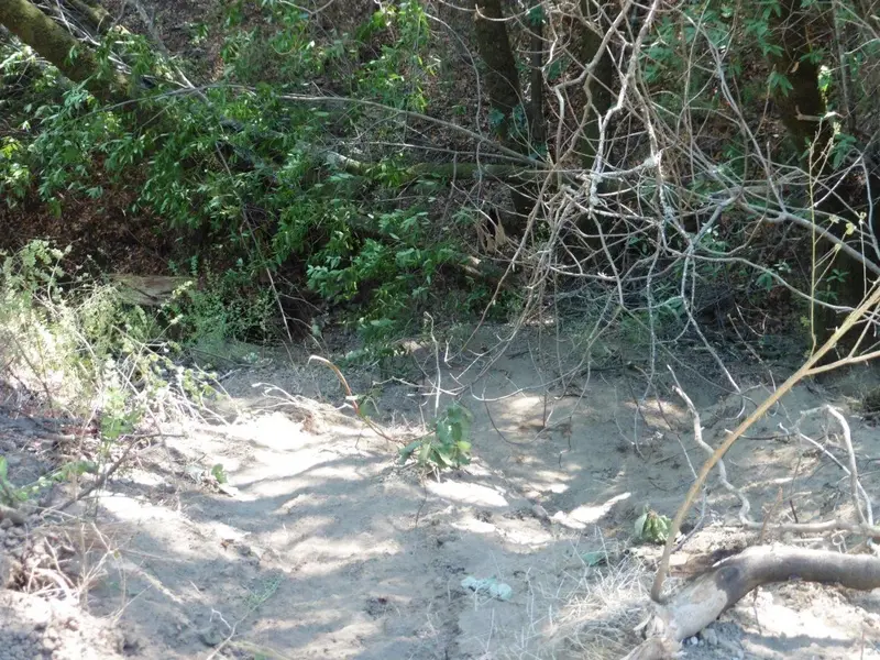 Slide furrow.webp