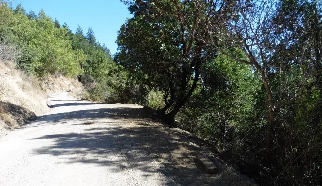 Slide spot from below on right side.webp