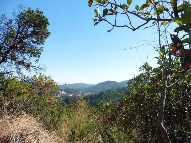 View from Iron springs road.webp