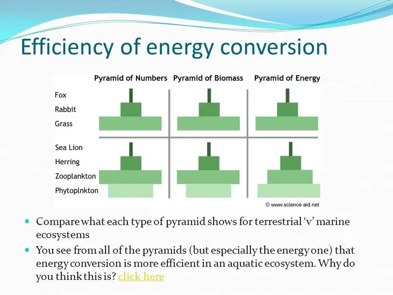 slide_3.webp