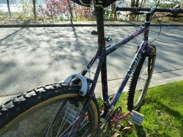SP Brodie 003.webp