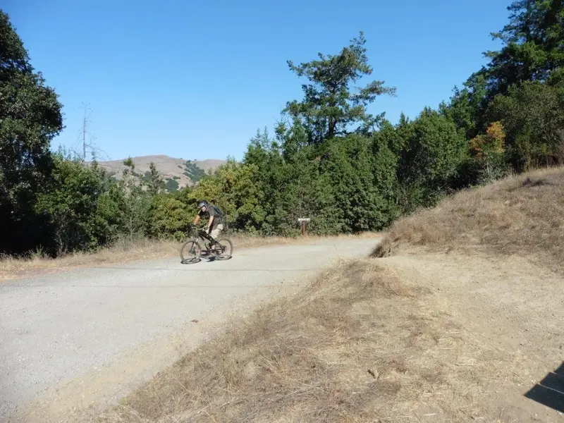 Top of the climb.webp