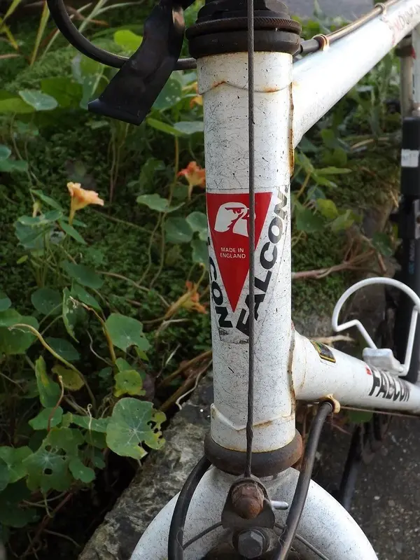 DSCF3473.webp