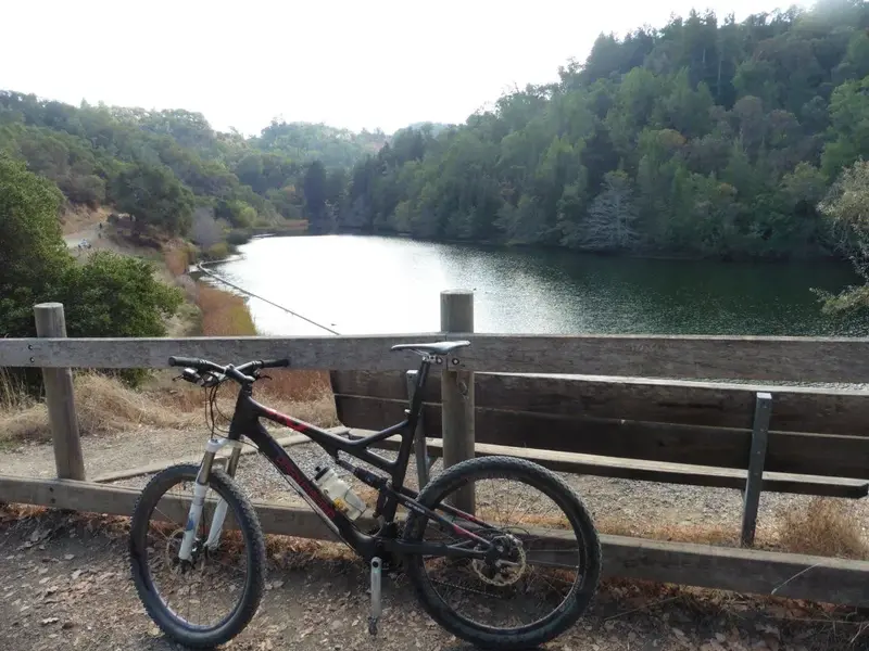 Phoenix Lake.webp