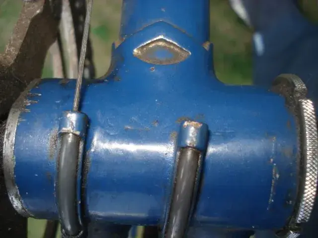 DSC07100.webp