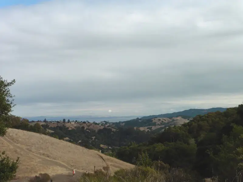 Bay in the distance.webp