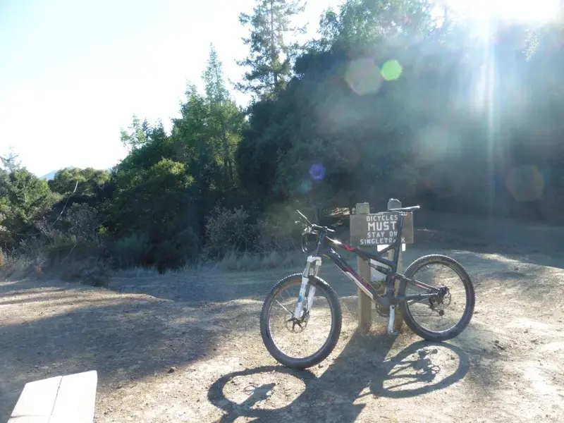 Longer Fall Shadows.webp