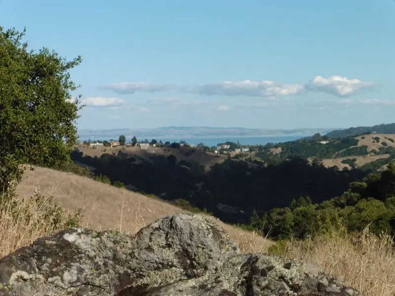 Looking East.webp
