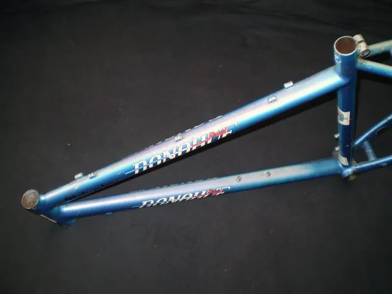 P1011454 (Medium).webp