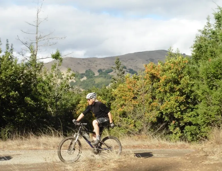 At the top.webp