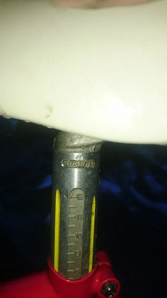 DSC_0972-540x960.webp