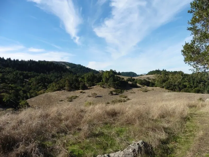 Looking West.webp