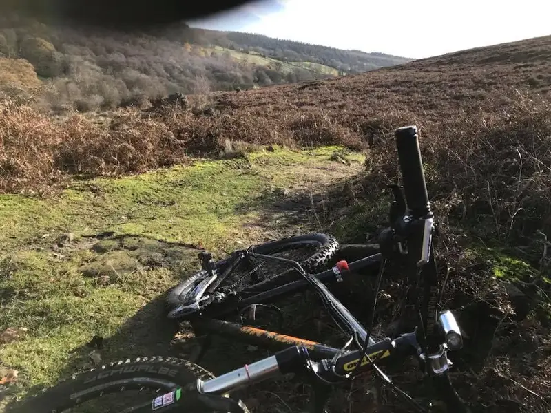 ont moors.webp