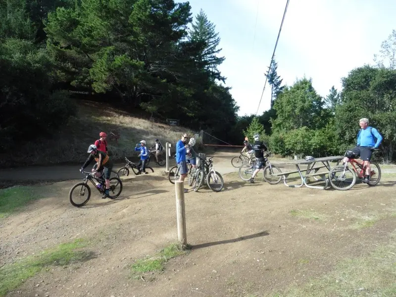 Lotta riders today.webp