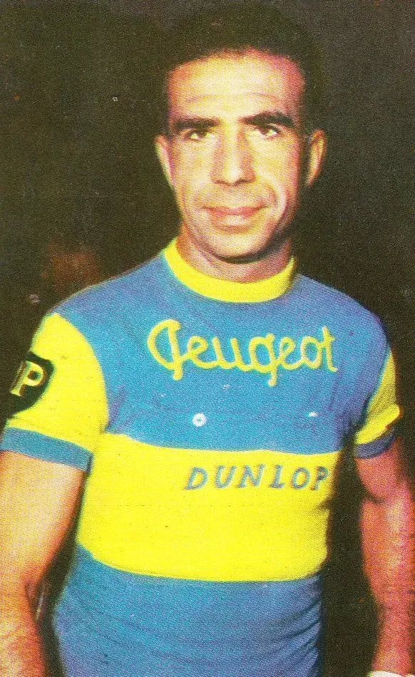 53-pino-cerami.webp