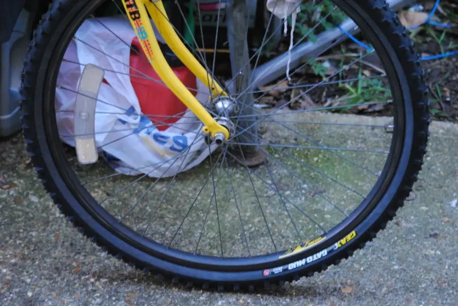 holdsworth3.webp