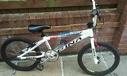 PINA BMX.webp