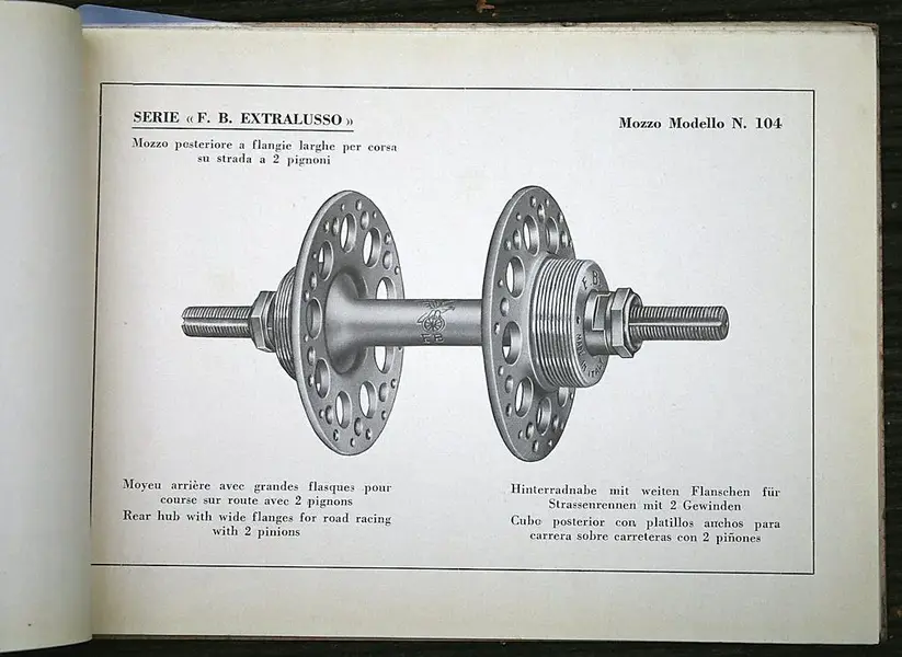 21746934678_df72f3e0ef_b.webp