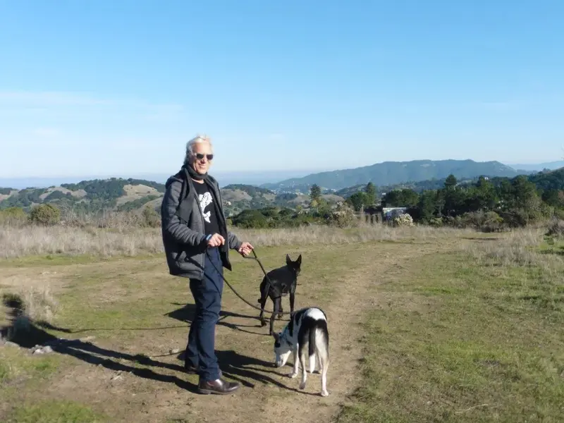 Larry and the dogs.webp