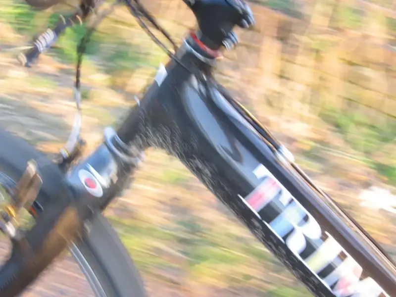Moving.webp