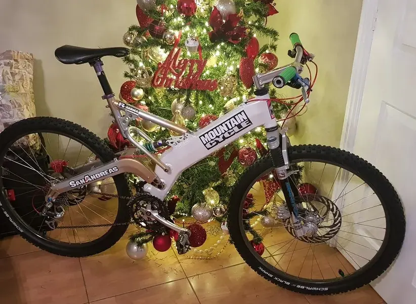 mountain Cycle.webp