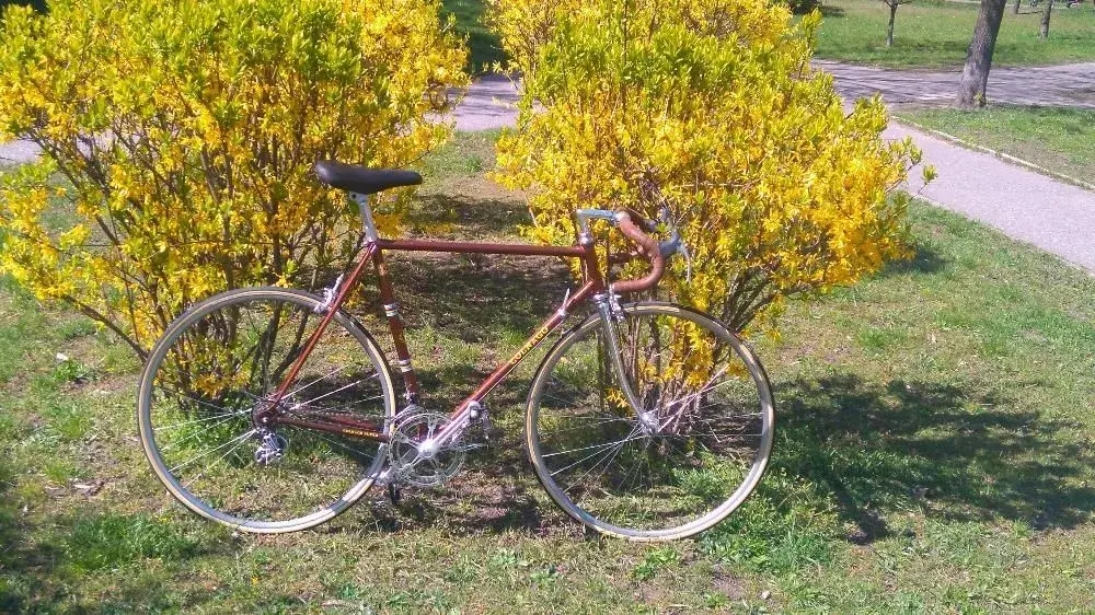 498247142_2_1000x700_colnago-campagnolo-3ttt-gipiemme-wolber-dodaj-zdjecia.webp