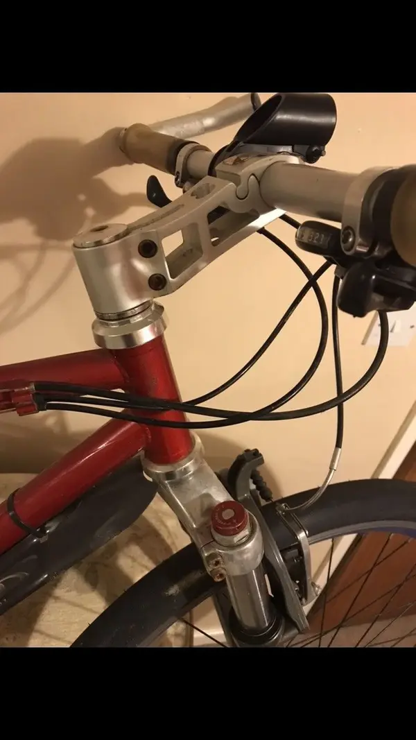 dodgy stem.webp