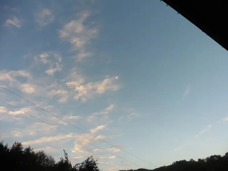 Morning Moon.webp