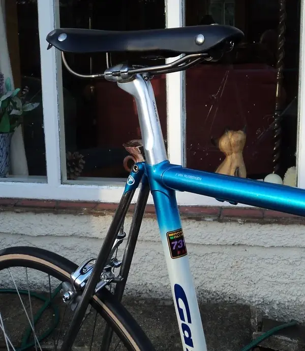 Gazelle reduced.webp